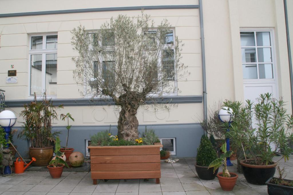 Hotel Am Kastell Goch Exterior foto